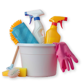 Professional Cleaning Team